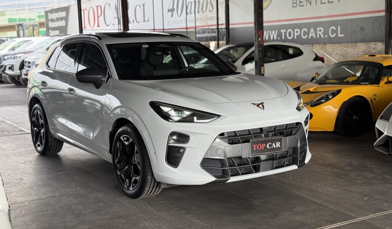 Cupra Terramar — foto 2 de 19