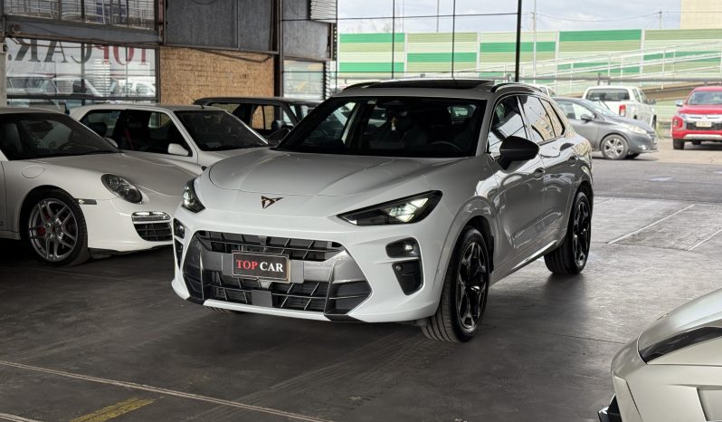 Cupra Terramar — foto 3 de 19
