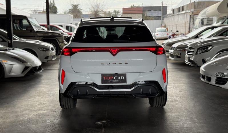 Cupra Terramar — foto 5 de 19