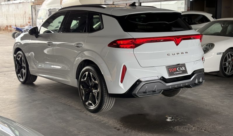 Cupra Terramar — foto 6 de 19
