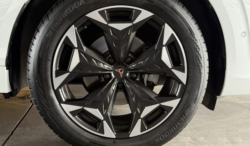 Cupra Terramar — foto 8 de 19