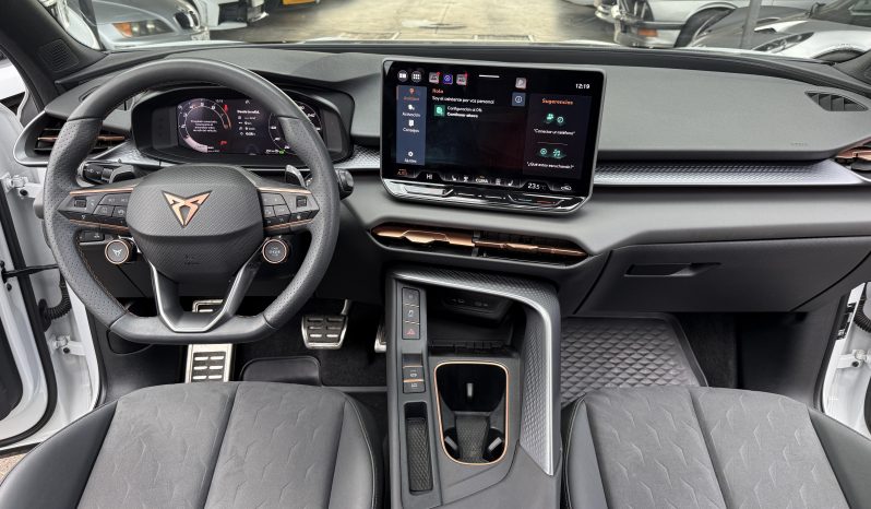 Cupra Terramar — foto 13 de 19